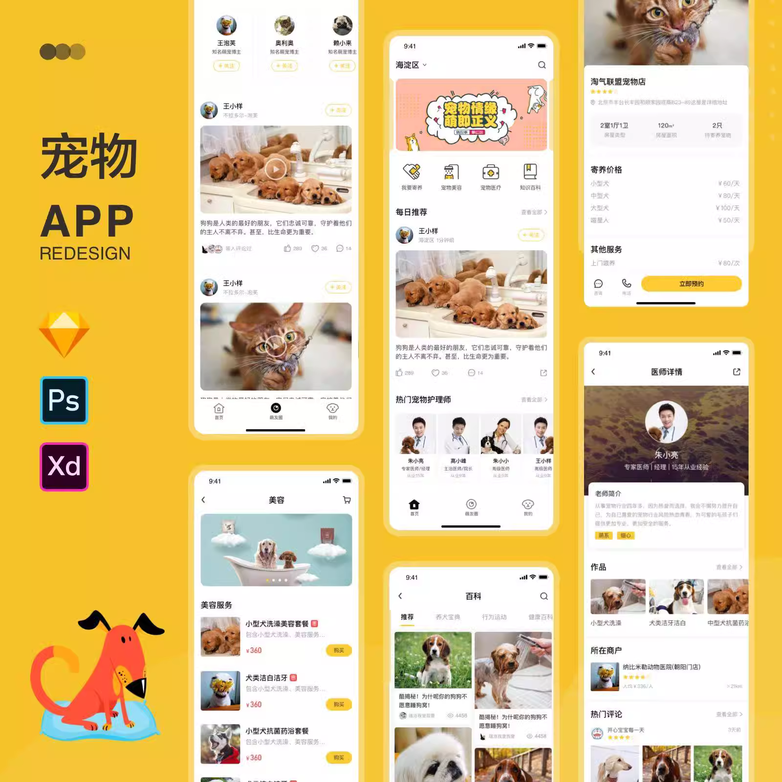 源码部署/搭建宠物社交APP